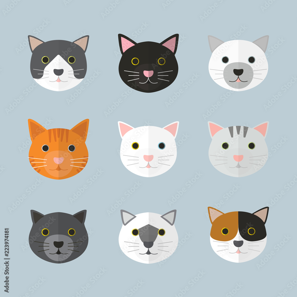Cat faces in many breeds. With plain background. Flat design style.