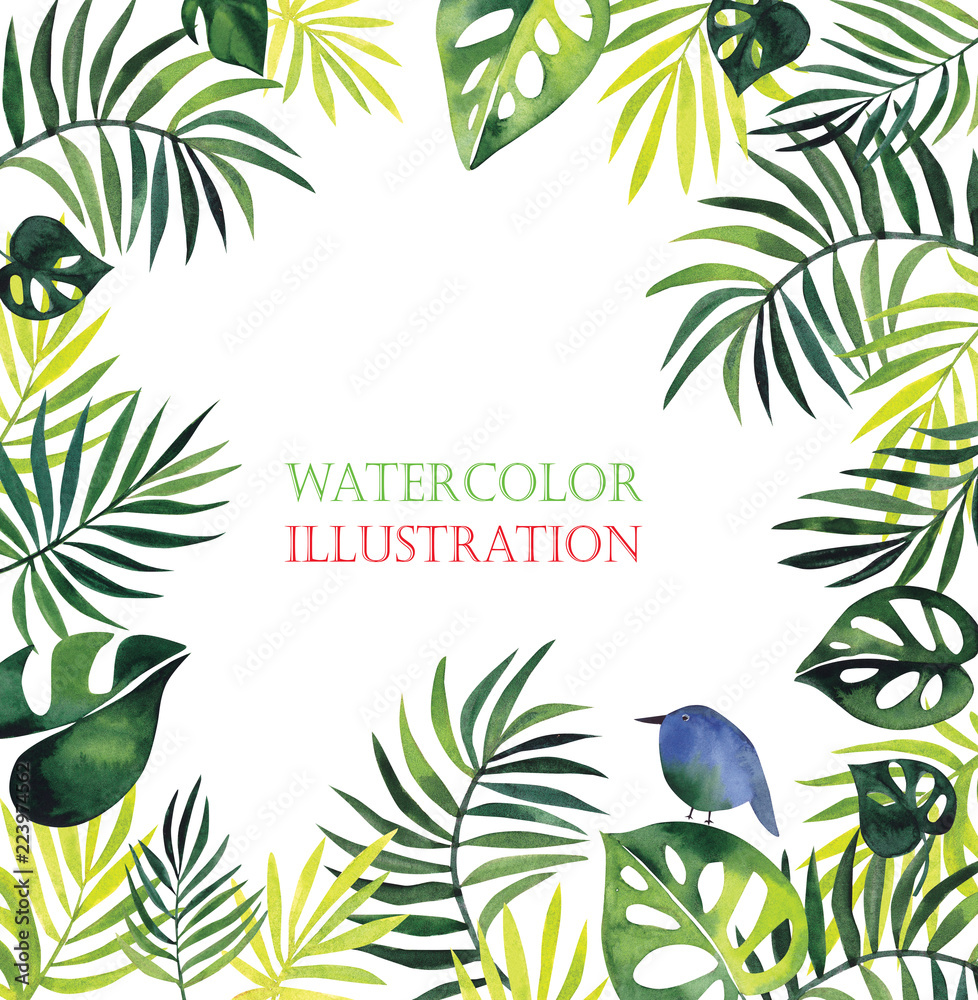 A frame of tropical leaves with bright birds on a white background.