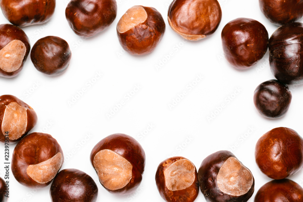 pine cones, chestnuts, acorns and dried leaves on a white background pine cones, chestnuts, acorns and dried leaves on a white background