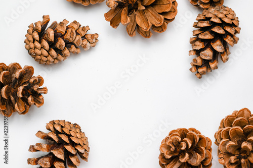 pine cones, chestnuts, acorns and dried leaves on a white background