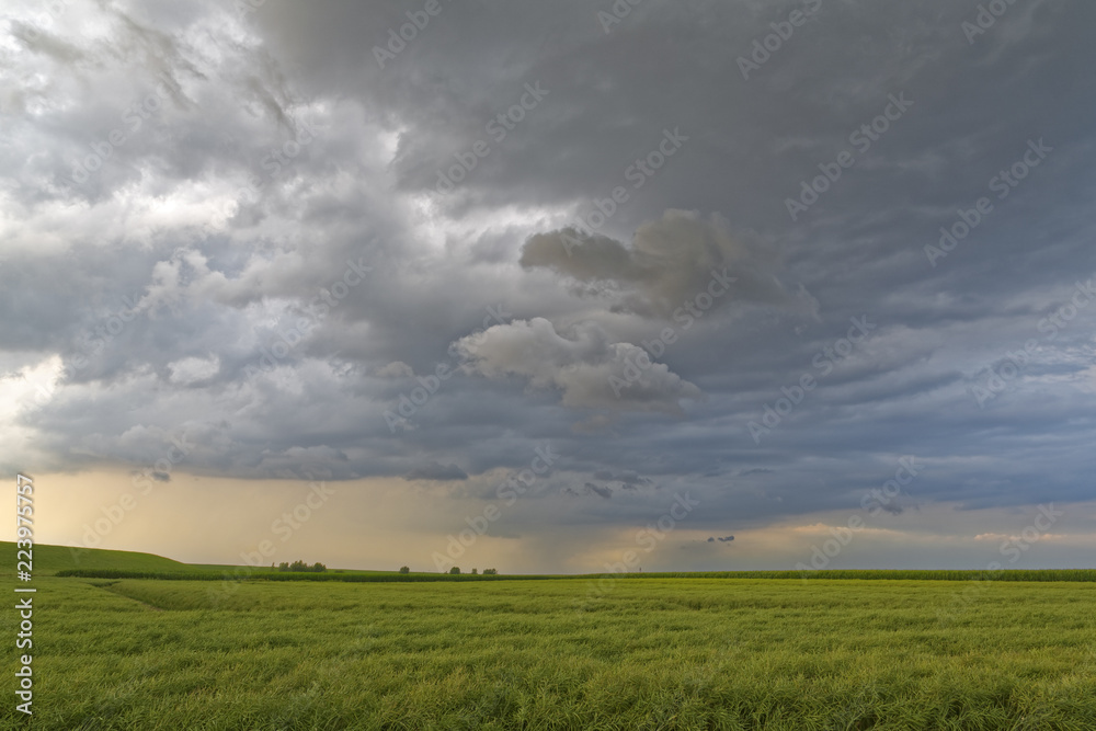 Regenwolken im Abendlicht