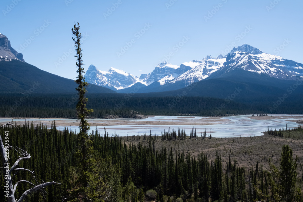 Obraz premium River near Saskatchewan River Crossing on icefield parkway
