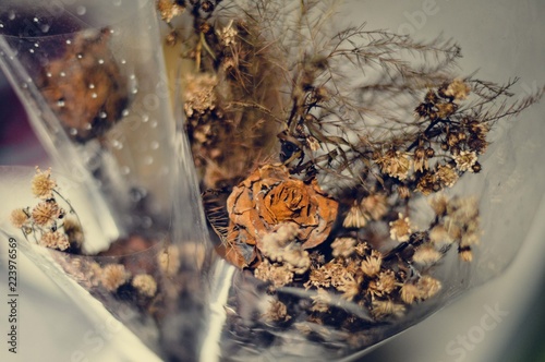 dead flowers