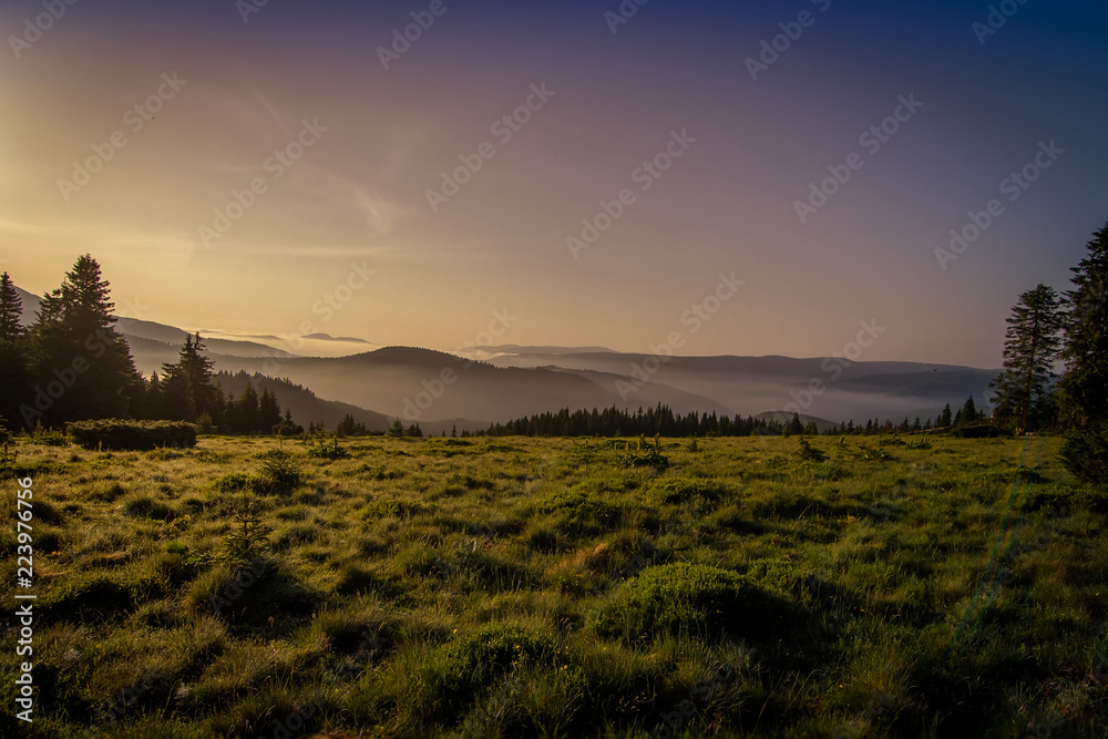 A sunny morning in the Carpathian mountains. Ukraine