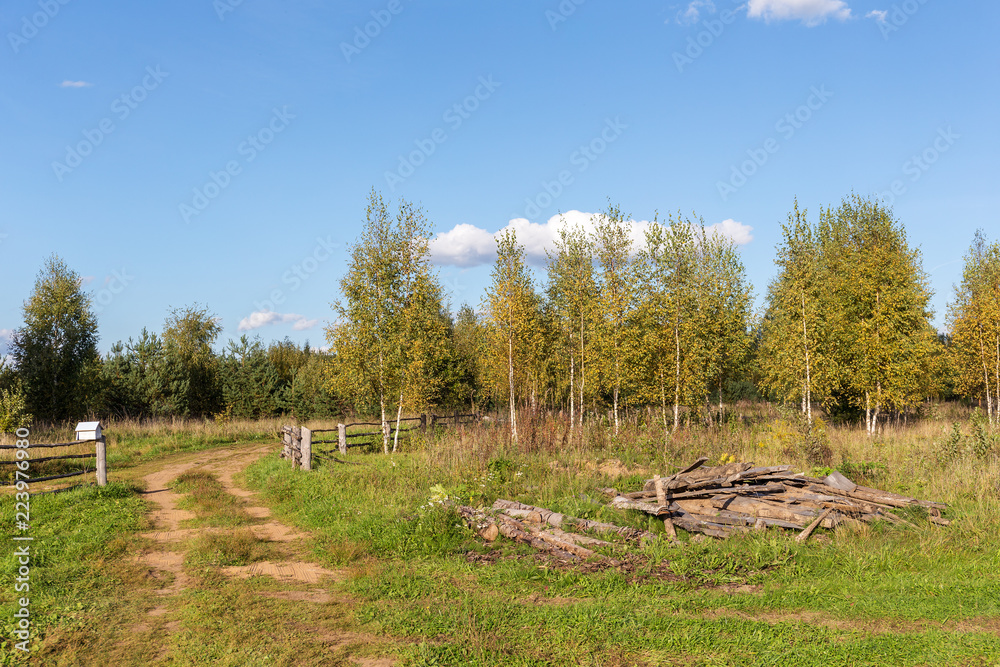 Fototapeta premium rural landscape in early autumn