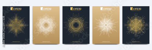 Modern vector template for brochure leaflet flyer cover catalog magazine or annual report. Golden layout in A4 size. Business, science and technology design book layout. Presentation with mandala.
