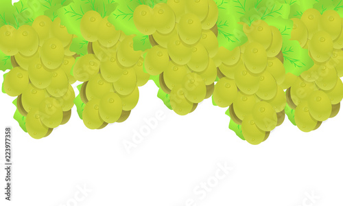 grape white grape