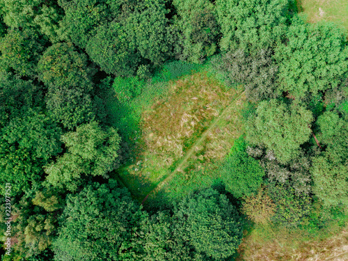 Fototapeta Naklejka Na Ścianę i Meble -  Aerial view of a forest clearing with a walkers track crossing it. Tress can be seen encircling a grassy patch of land taken from above