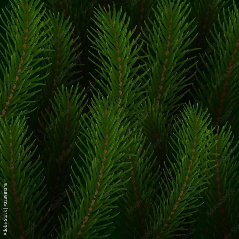 Fir tree background. Christmas tree realistic branches