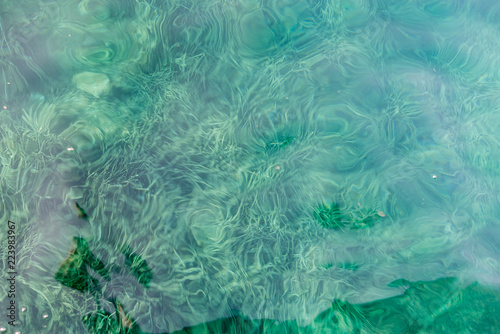 Praderas del alga Posidonia Oceanica en agua cristalina del Parque Natural del Cap de Creus, Alt Empordà, Costa Brava, Cataluña photo