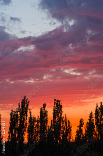 Landscape with dramatic light - beautiful golden sunset with saturated sky and clouds.