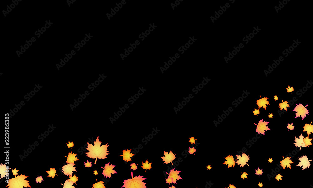 Fototapeta premium autumn leaves on a black background