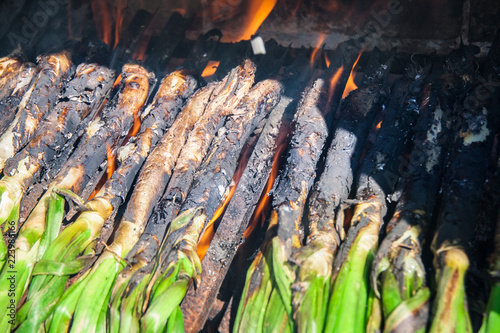 Close-up of huge bunch of traditional catalan calsots prepared on fire photo