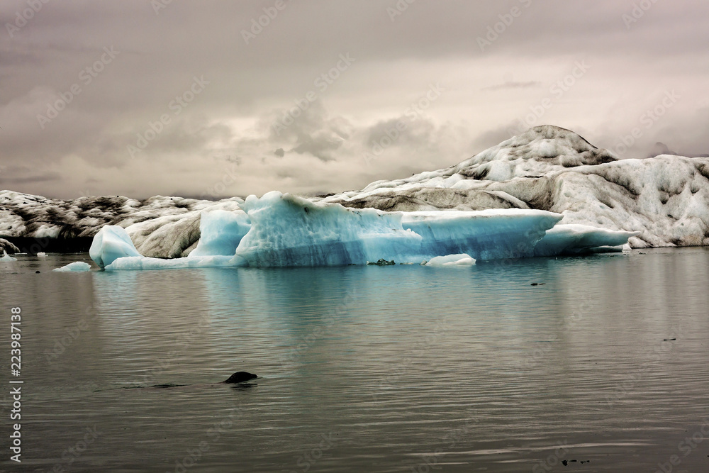 Obraz premium The Jokulsarlon glacier lagoon in Iceland