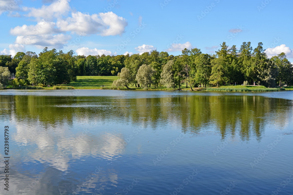 Fototapeta premium surface of a quiet blue lake reflecting the sky, white clouds and green forest on the opposite shore on a Sunny summer day