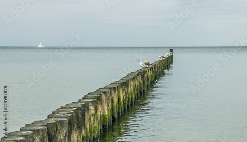 Sea landscape. View of the Baltic sea.