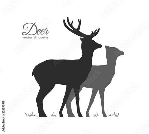 Vector illustration: Silhouette of two Deer isolated on white background.