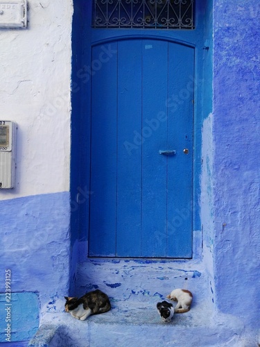 Detalle de las puertas en Chaouen © larnau