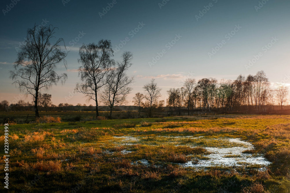 Amtsvenn huentefeld in the evening 4 Amtsvenn huentefeld in the evening 4