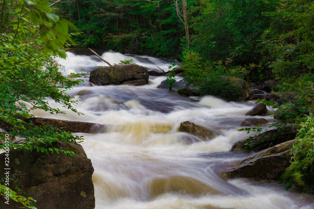 Swallon Mountain Stream Swiftly Flowing Down Mountain After Heavy Rains