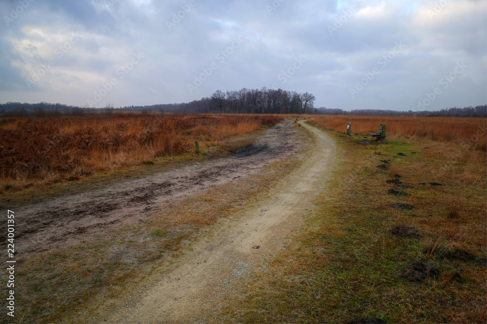 Way through nature