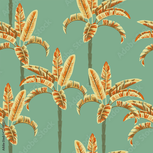 Palm seamless pattern abstract color