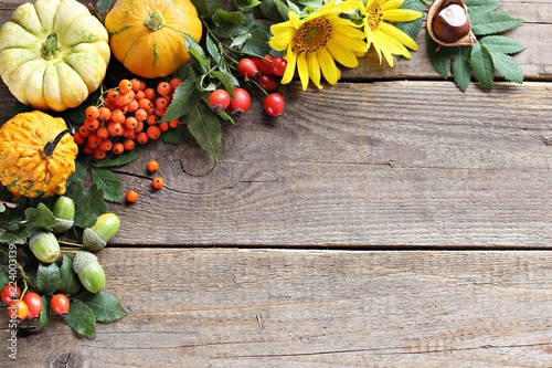 Autumn rustic background. Thanksgiving background with pumpkin, seasonal flowers and berries. Overhead view, copy space