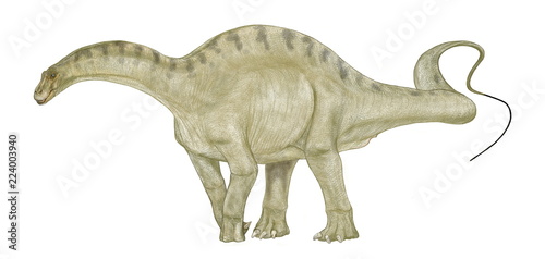 ディクラエオサウルス。ジュラ紀後期の恐竜。竜脚類。アフリカのタンザニアで骨格化石が発見された。首が短く背中のにかけての隆起は二股で高い特徴を持つ。そこから名付けられた学名には二又のトカゲという意味がある。また、目の上に鼻の穴がある特徴もあるが、そのままの再現では外形的に生き物としてのバランスを欠く。イラストでは目の上の穴から続く空気の通り道を想像し、外形上鼻腔は顔の先端に延長した。