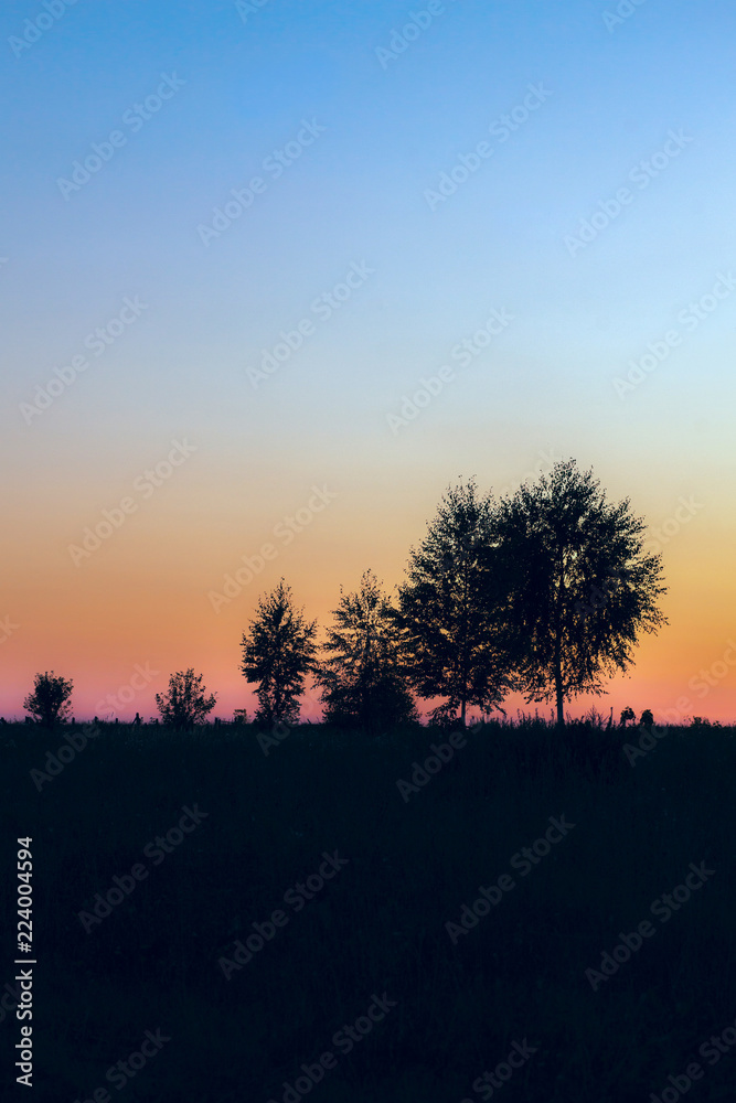 trees silhouettes on dusk sunset sky background trees silhouettes on dusk sunset sky background