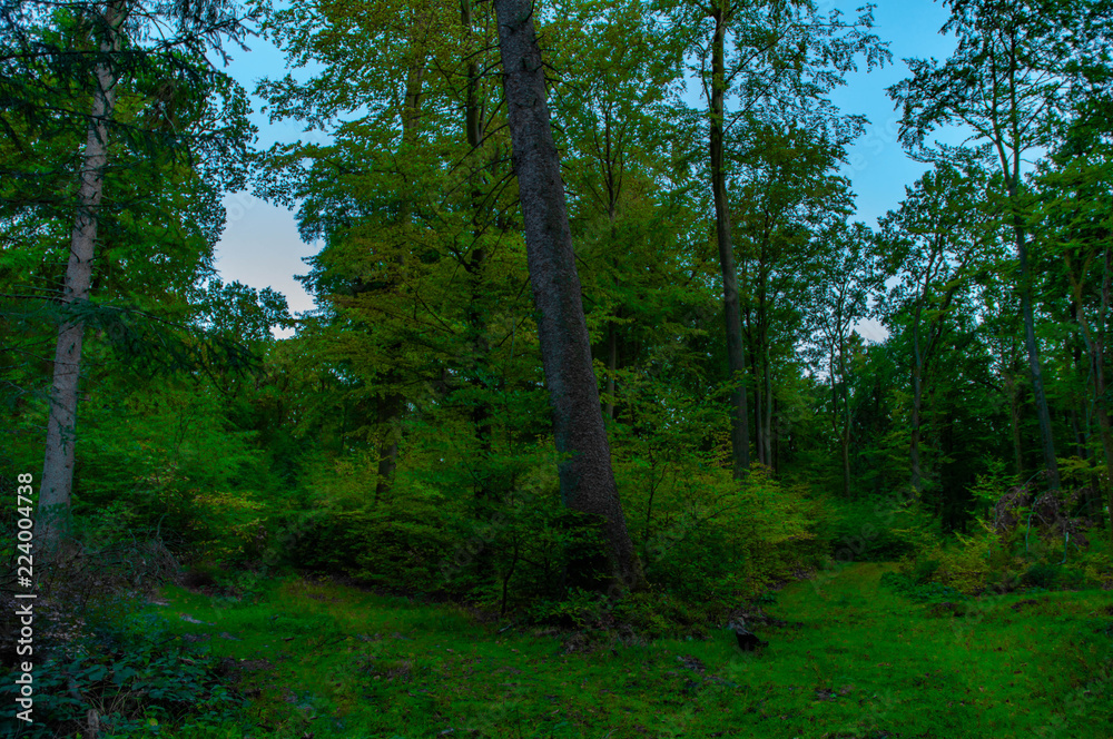 Obraz premium links oder rechts