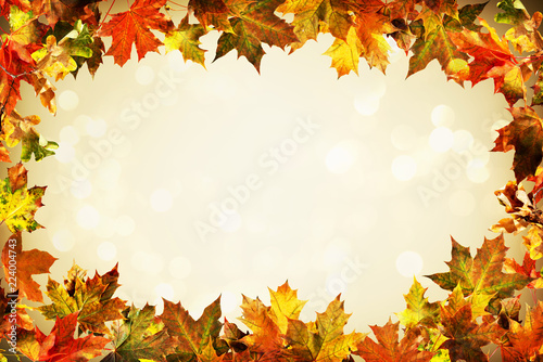 Autumn backdrop of colorful autumn leaves