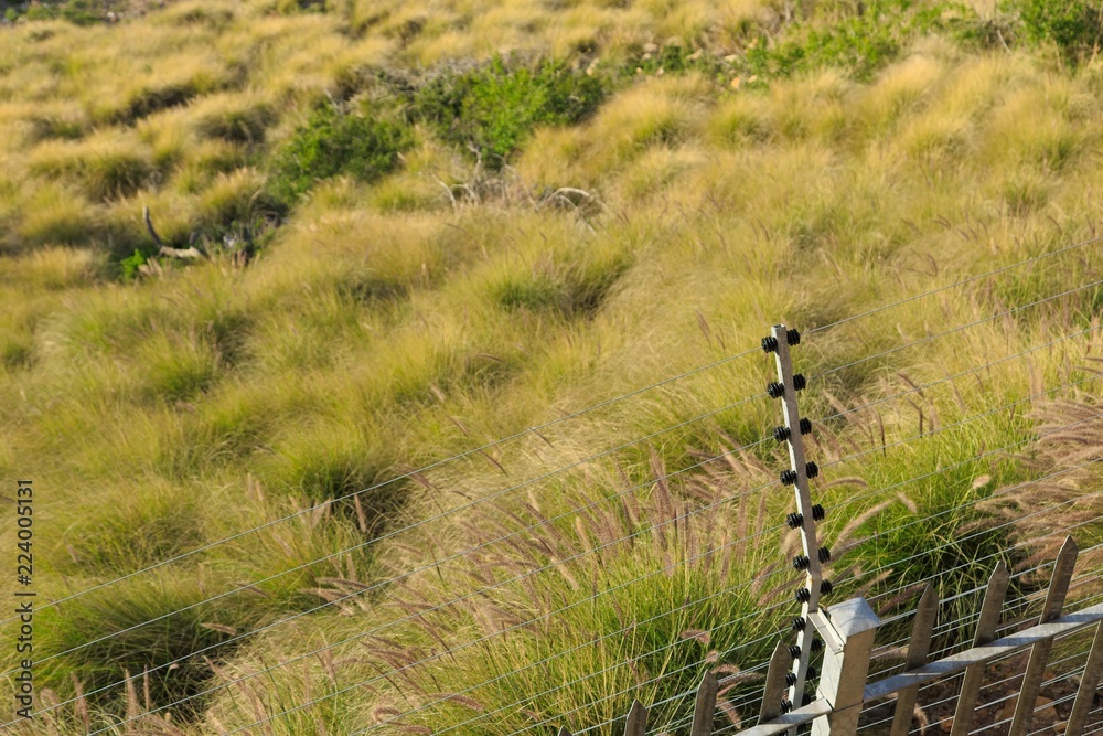 An electric fence next to an open field in South Africa. This image can be used to represent home security or crime prevention. An electric fence next to an open field in South Africa. This image can be used to represent home security or crime prevention.