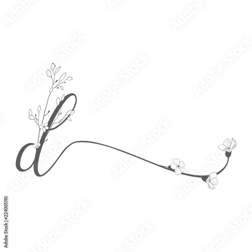 Vector Hand Drawn floral d monogram and logo