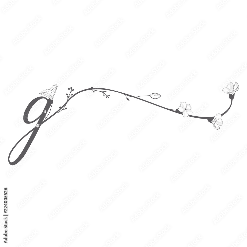 Vector Hand Drawn floral g monogram and logo Vector Hand Drawn floral g monogram and logo