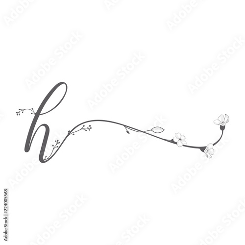 Vector Hand Drawn floral h monogram and logo
