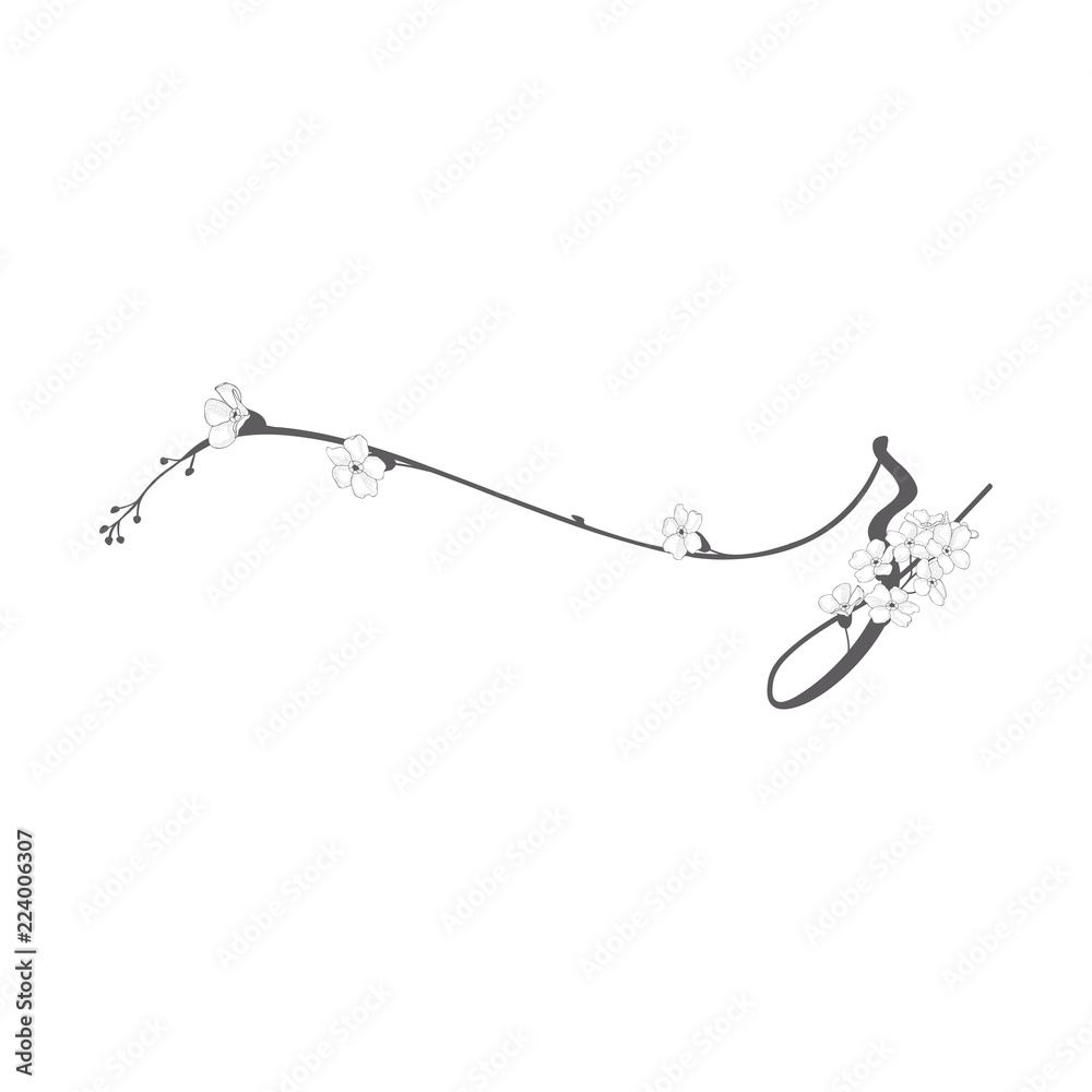 Vector Hand Drawn floral Z monogram and logo Vector Hand Drawn floral Z monogram and logo