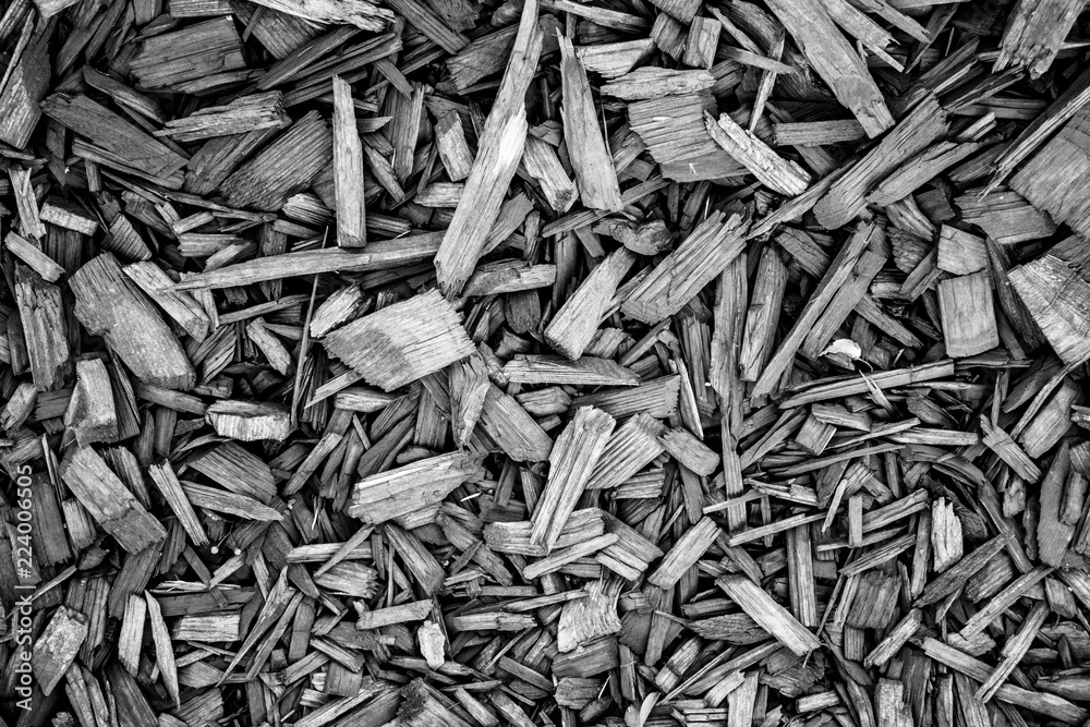 Wood chips background Wood chips background