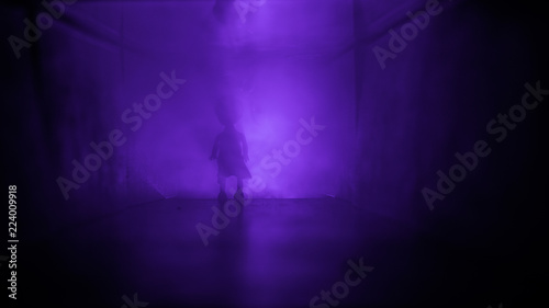 Creepy silhouette in the dark abandoned building. Horror about maniac concept or Dark corridor with cabinet doors and lights with silhouette of spooky horror person © zef art