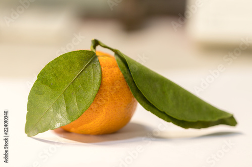 orange with green leaves