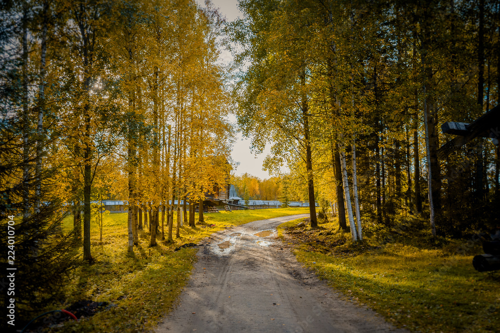 Fototapeta premium tourism in small Karelians near Arkhangelsk