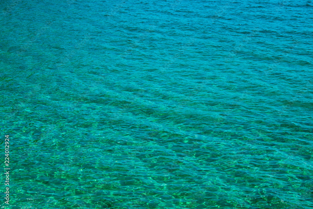 Obraz premium The beautiful seabed