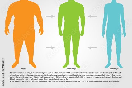 BMI or Body Mass Index Infographic Chart.Vector illustration.