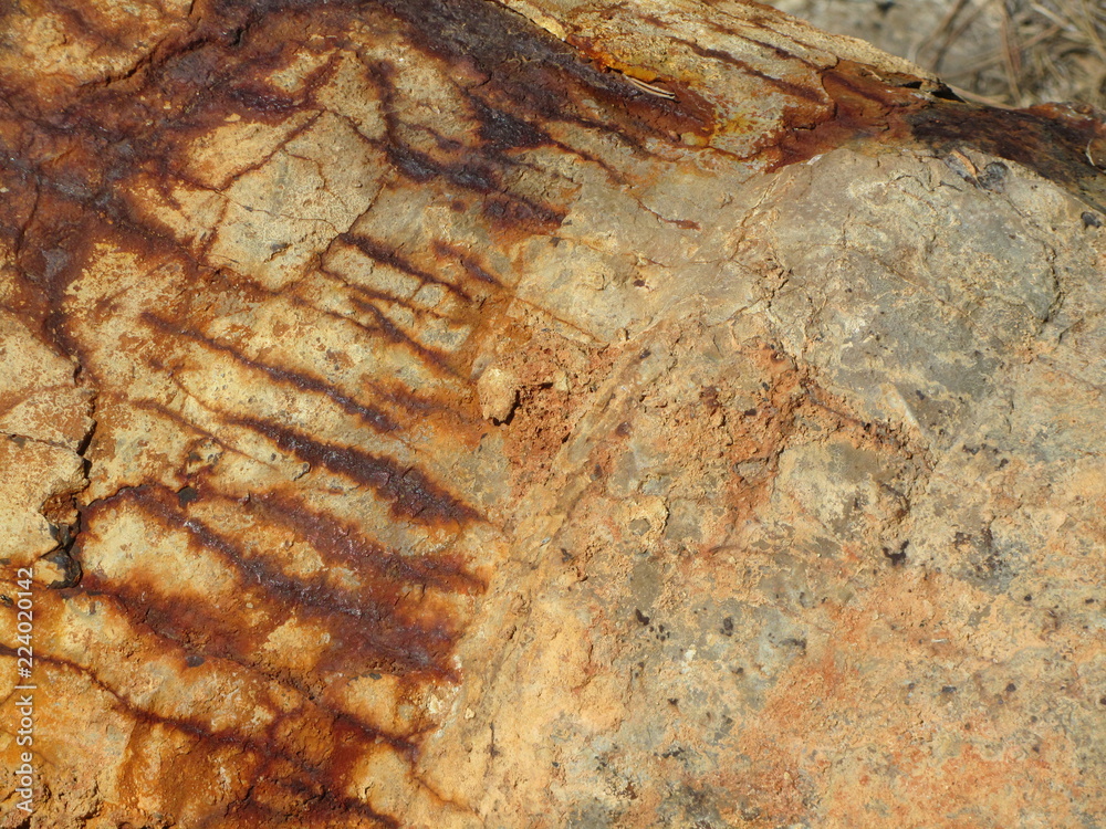 Bilde på lerret Rust texture nature inspired
