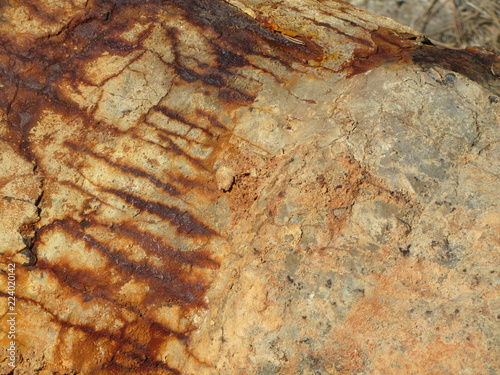Bilde på lerret Rust texture nature inspired