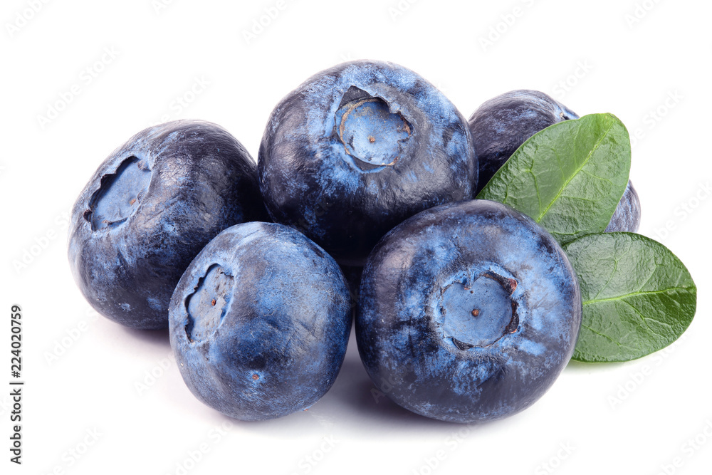 fresh blueberry with leaf isolated on white background