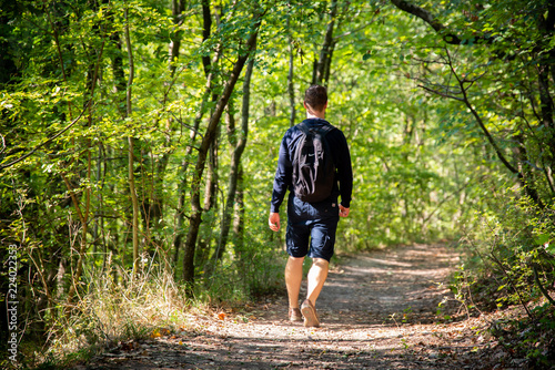 Traveler with backpack walks through the forest © Szerdahelyi Adam