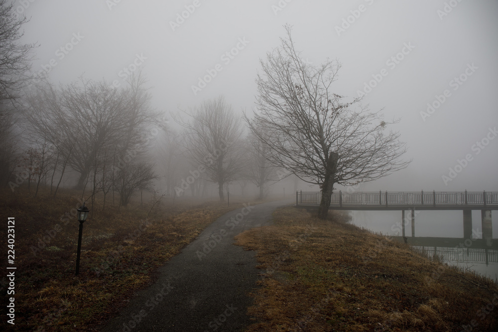 Obraz premium Amazing landscape of bridge reflect on surface water of lake, fog evaporate from pond make romantic scene or Beautiful bridge on lake with trees at fog.