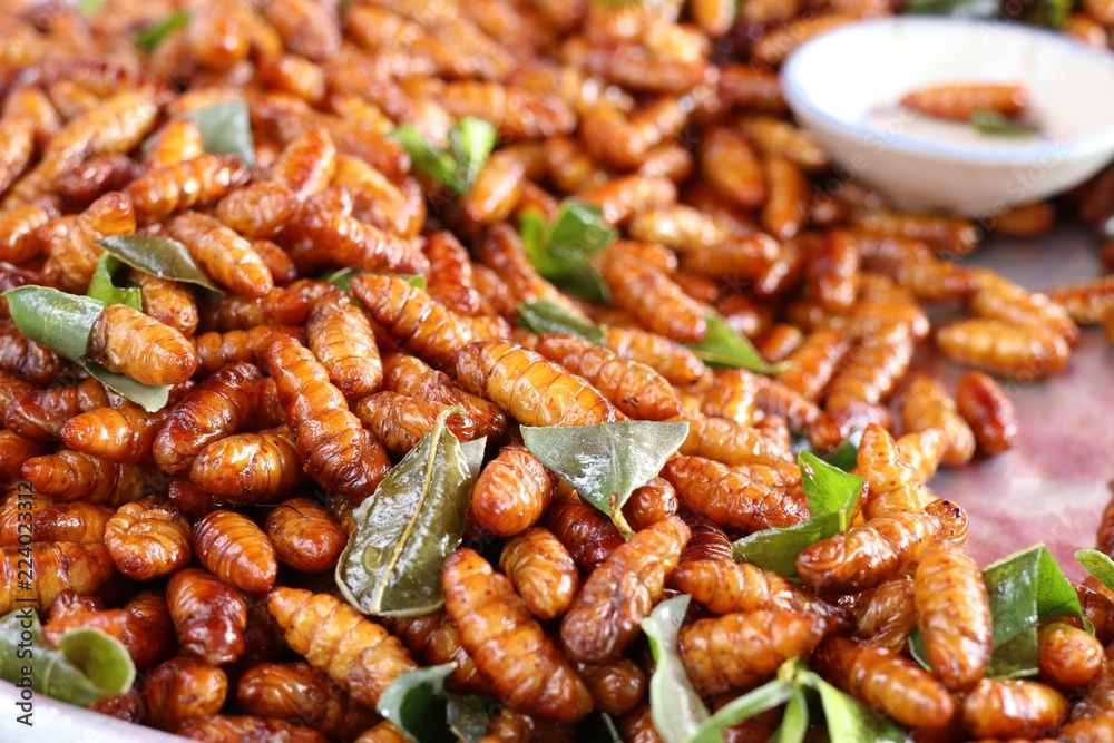 Fried insect at street food