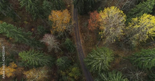 Aerial view of autumn forest green and yellow trees and road. Drone flying backwards above treeline filming down and following road. Kangasala, Finland. photo