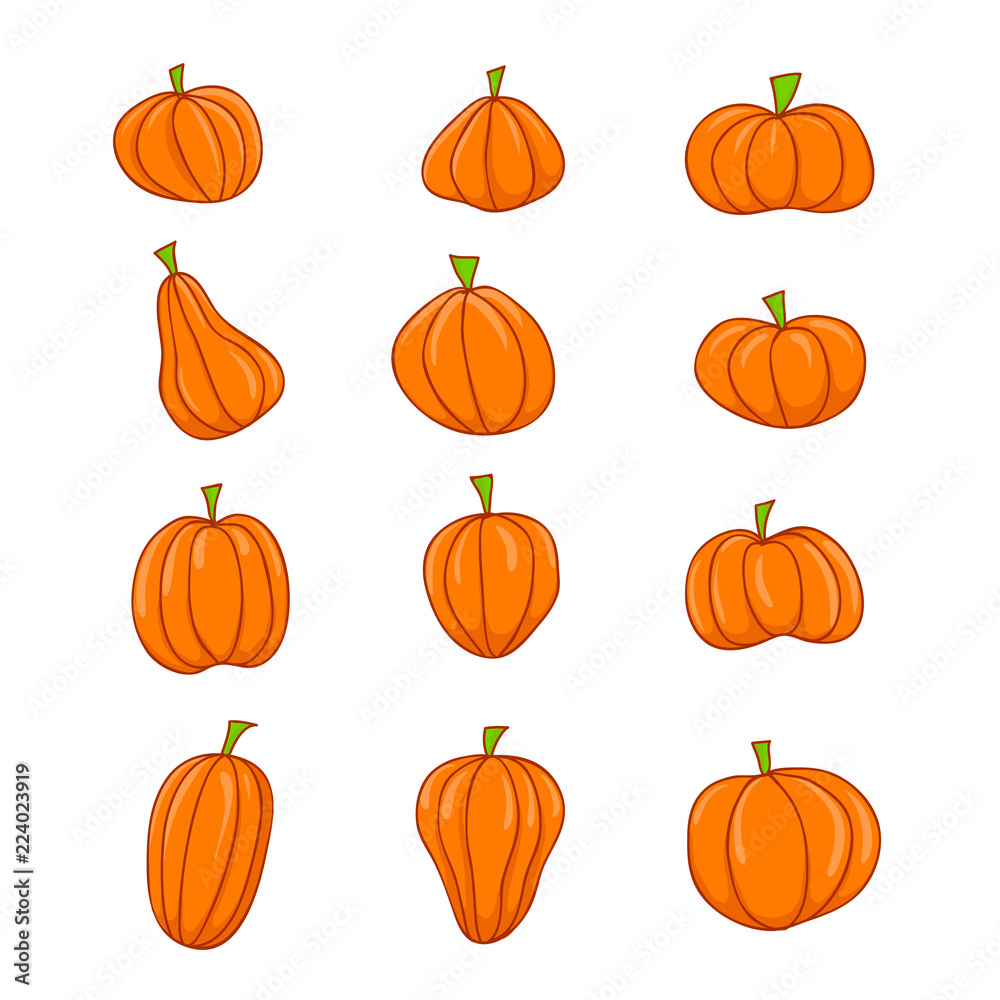 pumpkin orange color isolated white background, vector illustration set